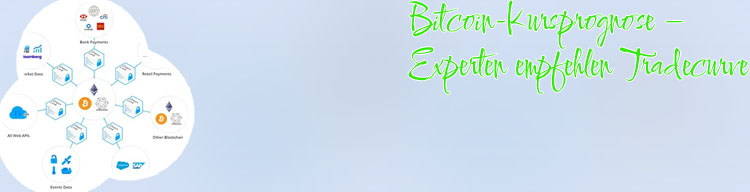 Bitcoin blockchain api