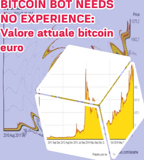 Bitcoin valore euro